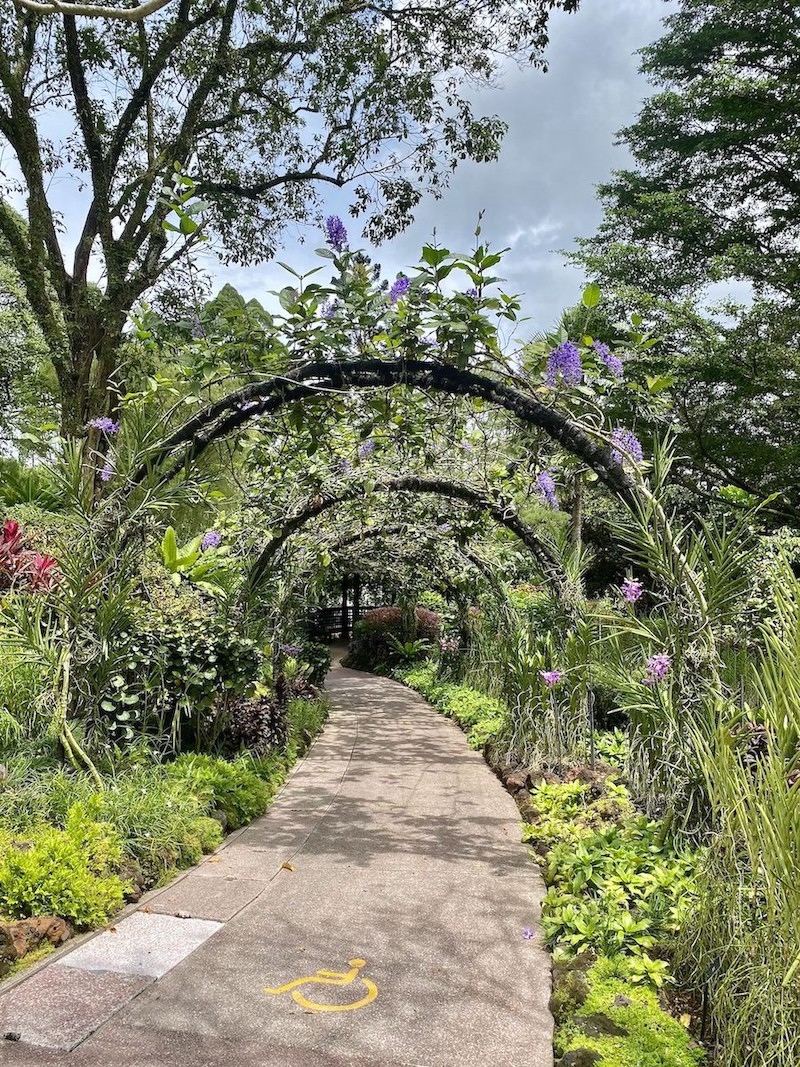 Heritage Orchid Display arch