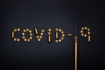 The Economic Shock of the Covid-19 Crisis