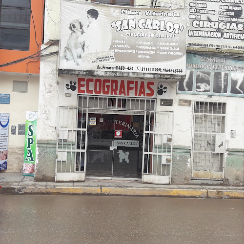 Comentarios y opiniones de San Carlos