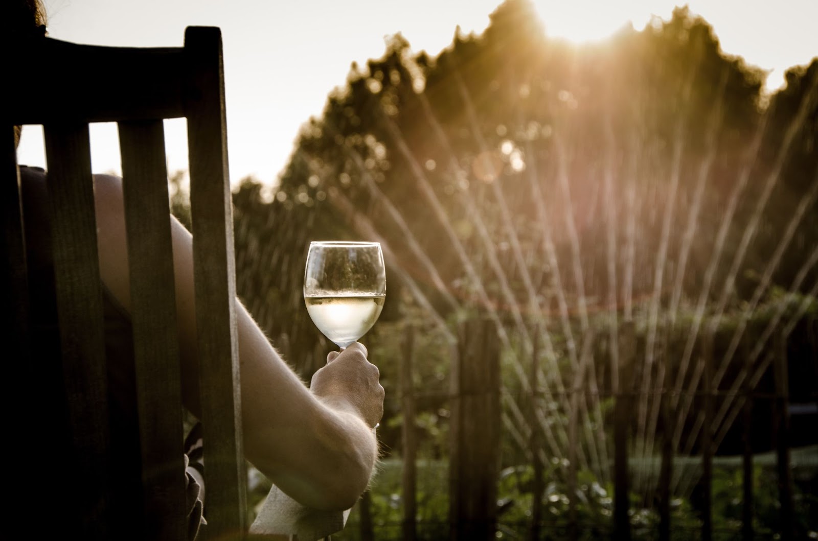 Boost your insta posts with these restful Tequila Instagram captions that will make your followers take notice