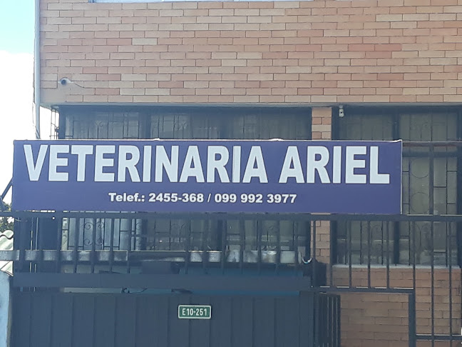 Ariel Veterinaria