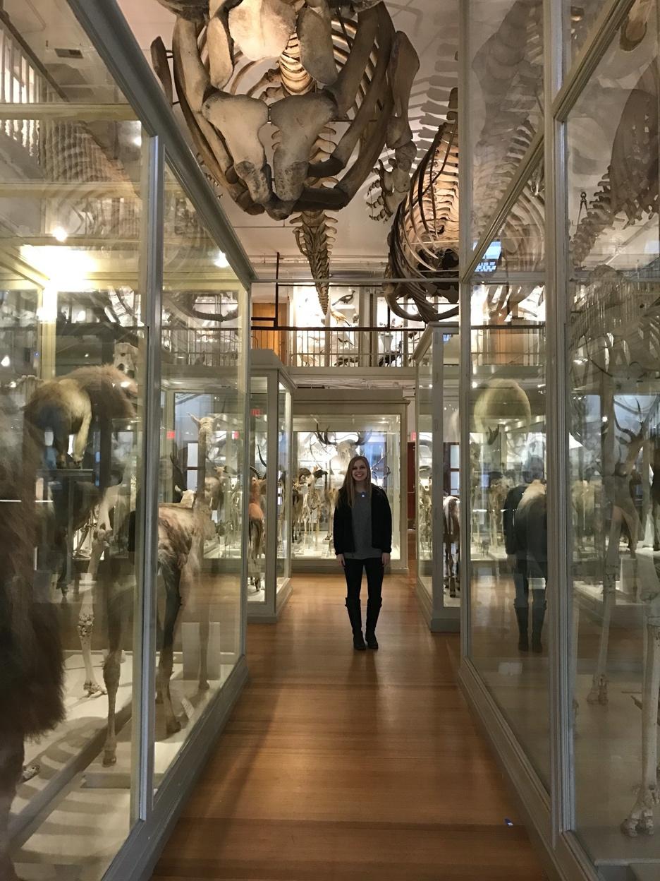 A person standing in a museum  Description automatically generated with low confidence