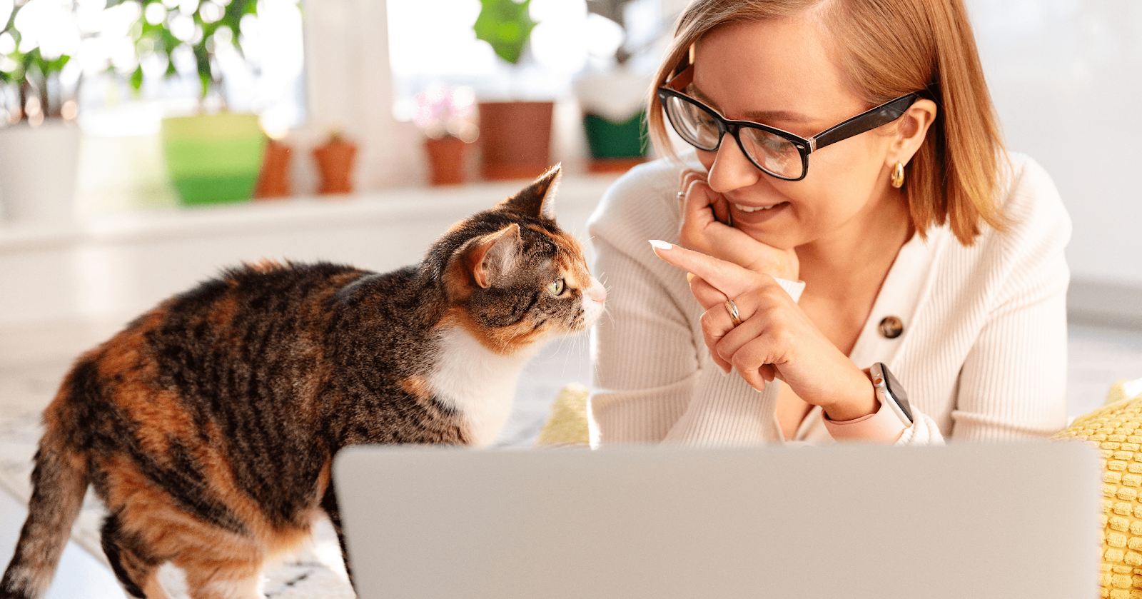 tabby cat with lady using laptop