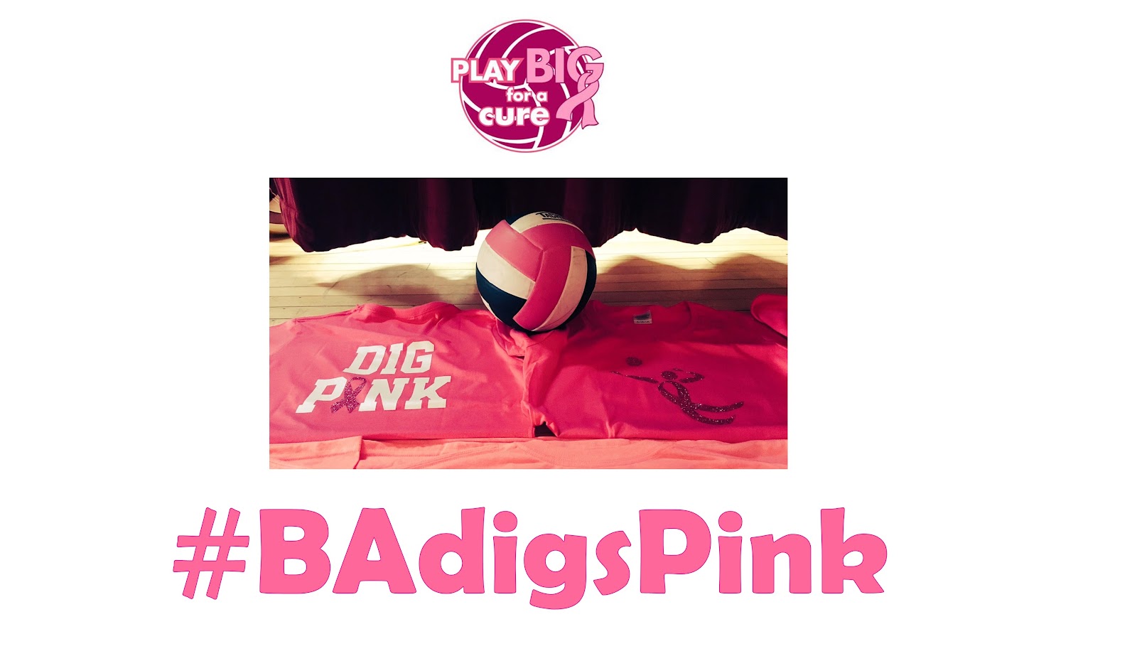 BAdigspink.jpg