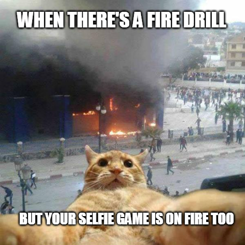 Funny Selfie Meme