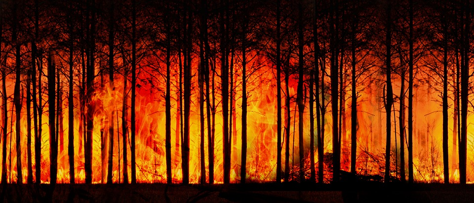 El-Cielo-se-tornó-rojo-Indonesia-incendios-