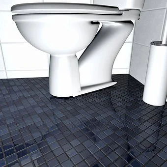 Leaks in Toilet's Flush Valve Seal