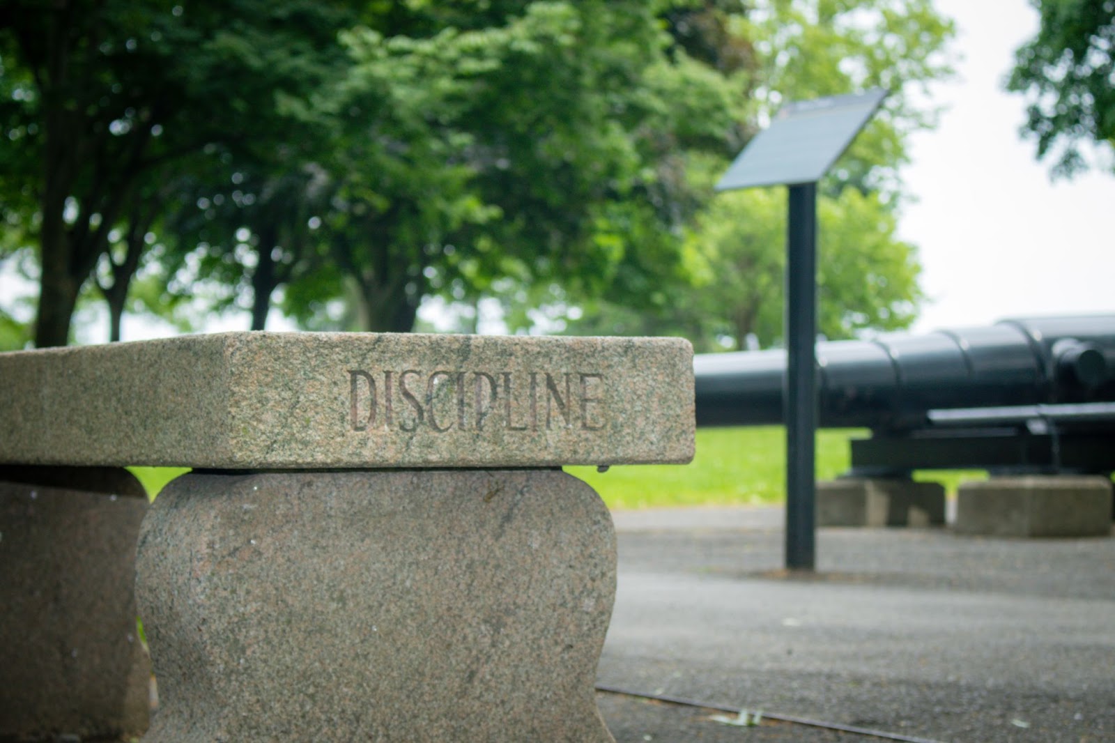 this image says discipline
