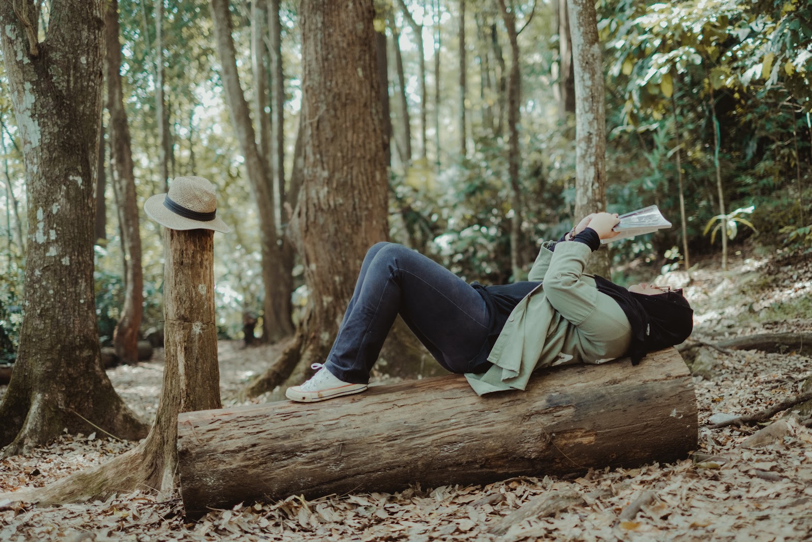 Taman Hutan Raya Juanda by Ali Yahya on Unsplash 