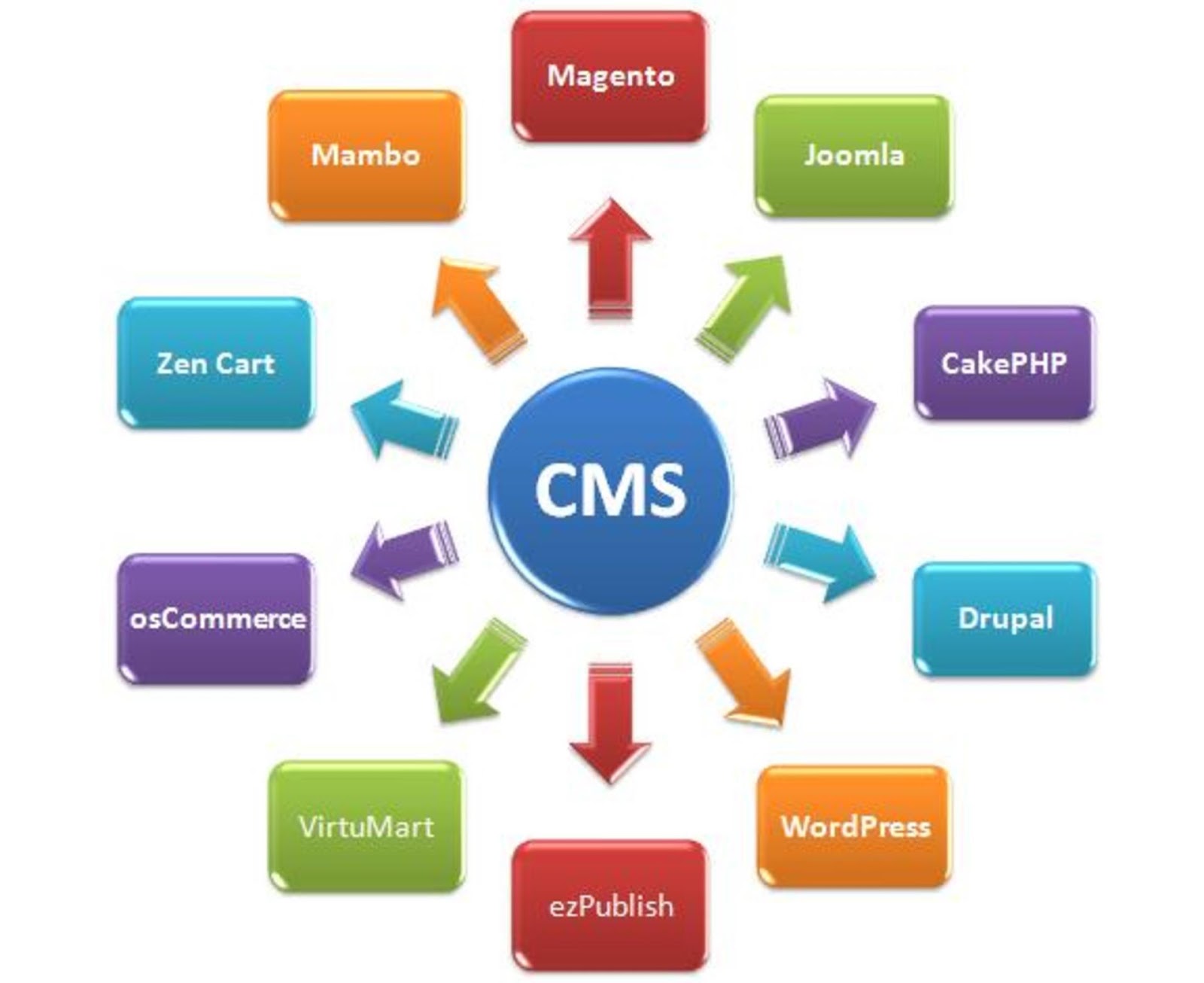 about  CMS