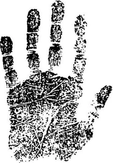 https://lh4.googleusercontent.com/YewKsd6MYZmp7ZT5cucTMq5WMWtnt4RW3h-HCZqUxqohVTqYQ5mfqSeS1xaHNepkA06vhtETML5_ZVpW64yy19HP5K1Ma_SAT3obVVZhdzAaAjBPY0g65enst33KrcYudrtlQsii79Kqe8cRj4wc9EzeU4_gR5Pjr0ufI1gl4GZBu5UinydTjmrgWOvqZxUz3m6XMzLuzQ
