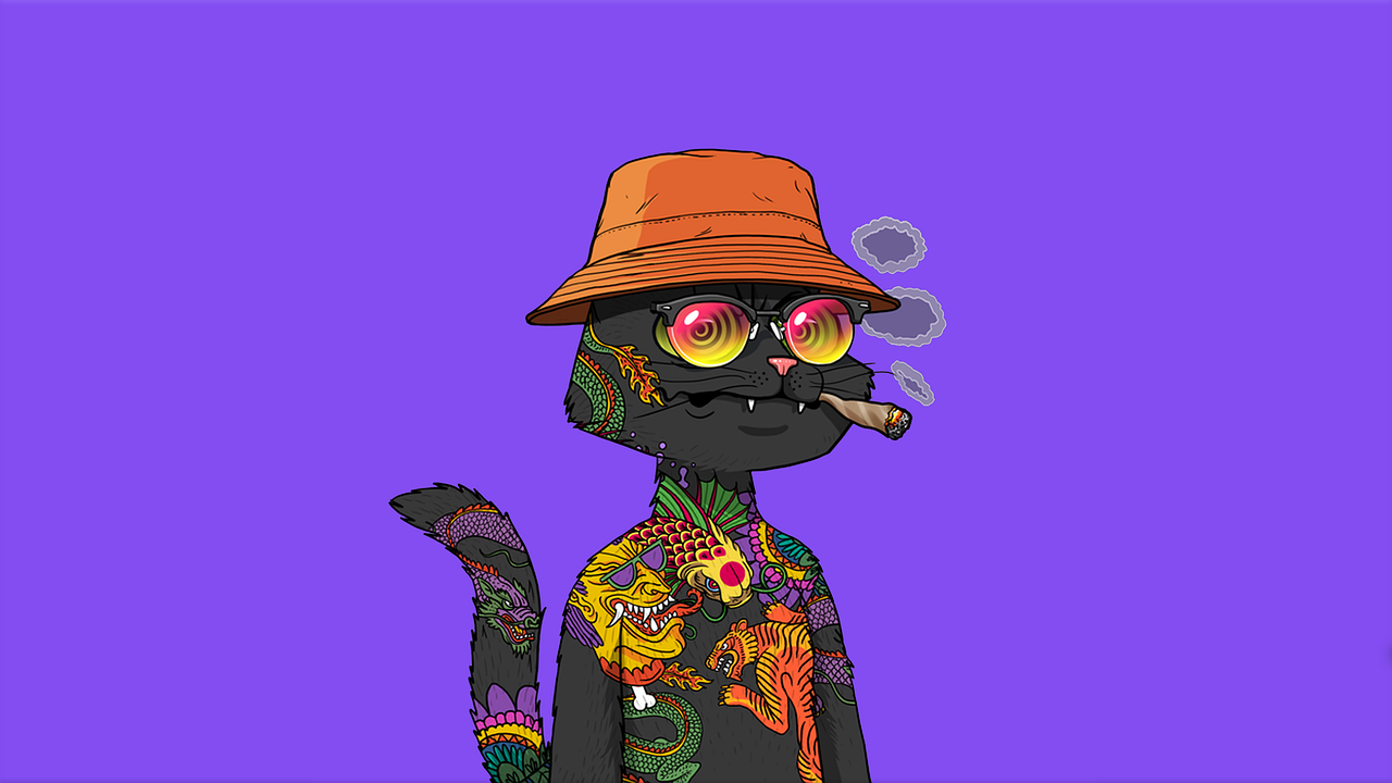 NFT of cat in trendy clothing