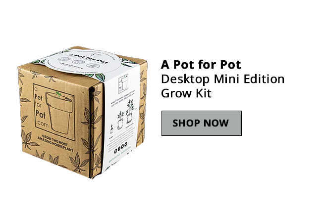 Gifts for Cannabis Growers