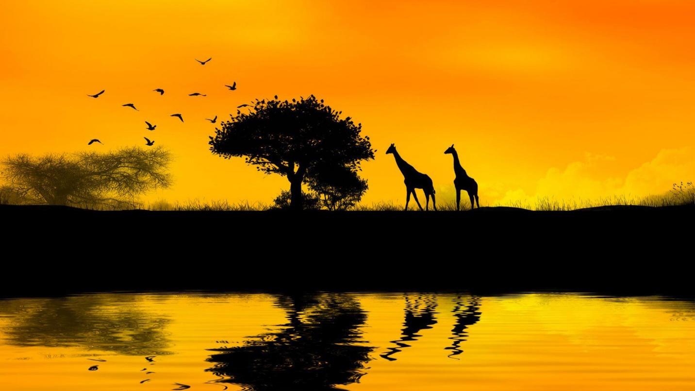 Africa Wallpaper (66+ pictures)