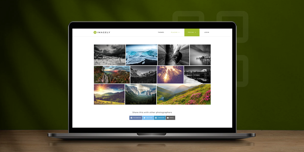 Revisão do plugin WordPress NextGEN Gallery