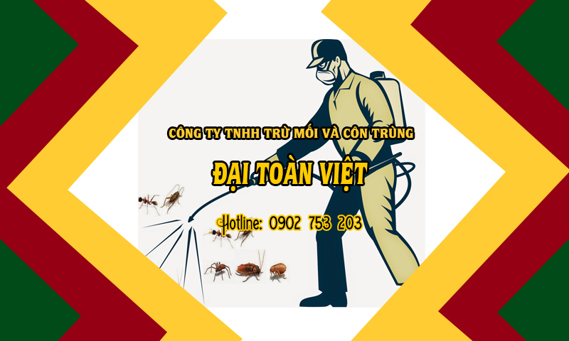 Dịch vụ diệt kiến tận gốc tại nhà của Đại Toàn Việt uy tín số 1 Việt Nam