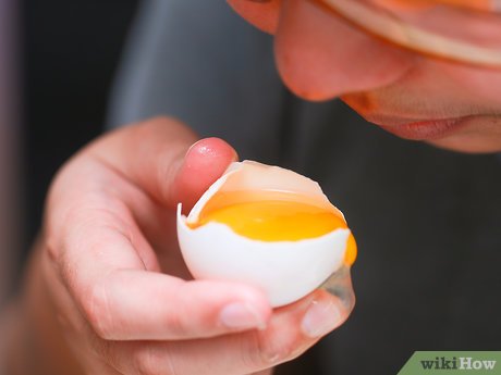 4 Ways to Tell if an Egg is Bad - wikiHow