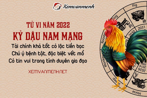 tu-vi-tuoi-ky-dau-nam-2022-nam-mang-1969