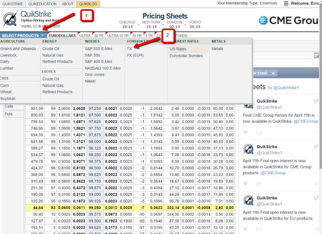 How To Define Your Bias Thru Forex Options - 