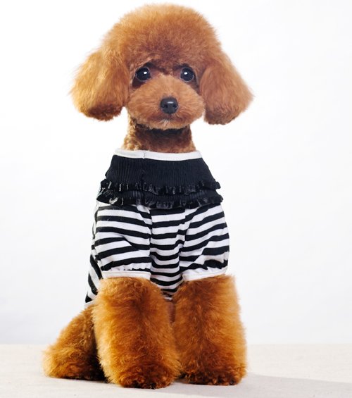 Cute-dog-clothes-stripe-dog-s-t-shirt-with-gillter-bow-unique-neck-dog-s-summer-1.jpg