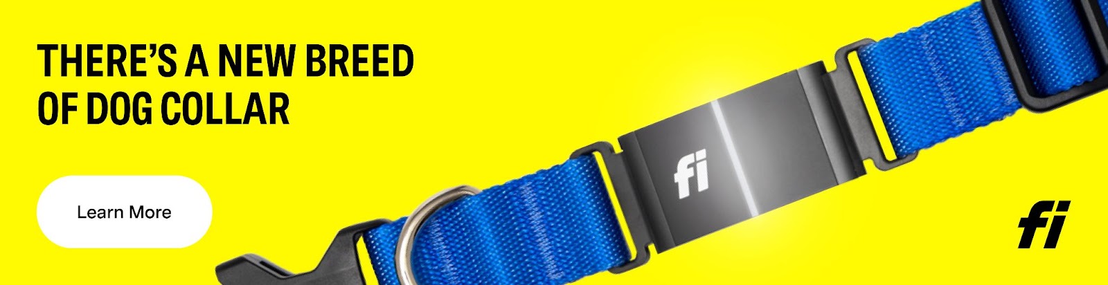 Fi Dog Collar