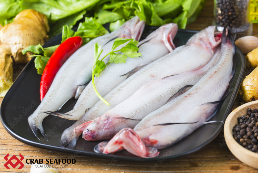 Cá khoai ăn tốt không? Ăn cá khoai có tác dụng gì? - Crab Seafood