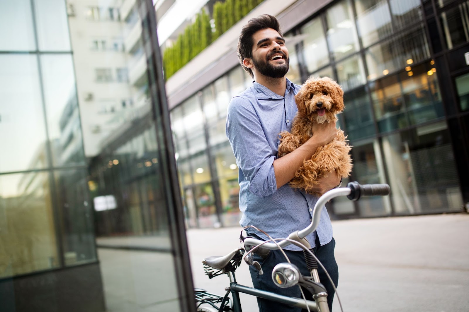 Exercise on the go without changing clothes: Young professional taking a short stroll outside of his office with his puppy