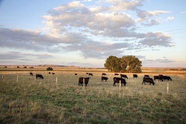 Goshen County, Wyoming by Carol Highsmith