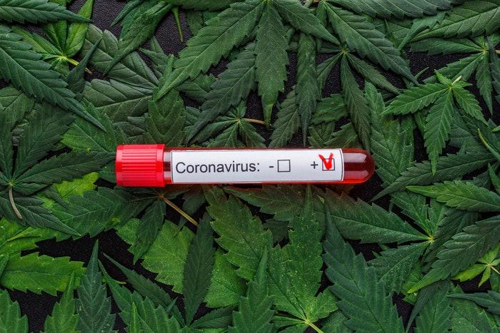 Quick Hits: Cannabis May Prevent and Treat COVID-19 | Packaging World