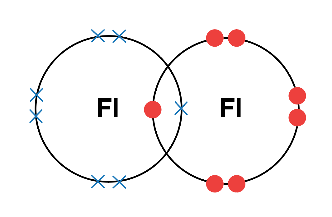 [DIAGRAM] Electron Dot Diagram Of Fluorine - MYDIAGRAM.ONLINE