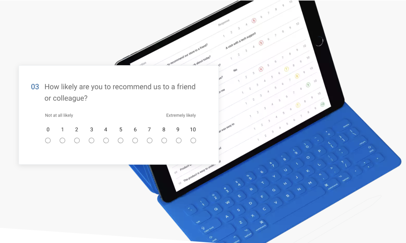 best survey software and questionnaire tool: BirdEye