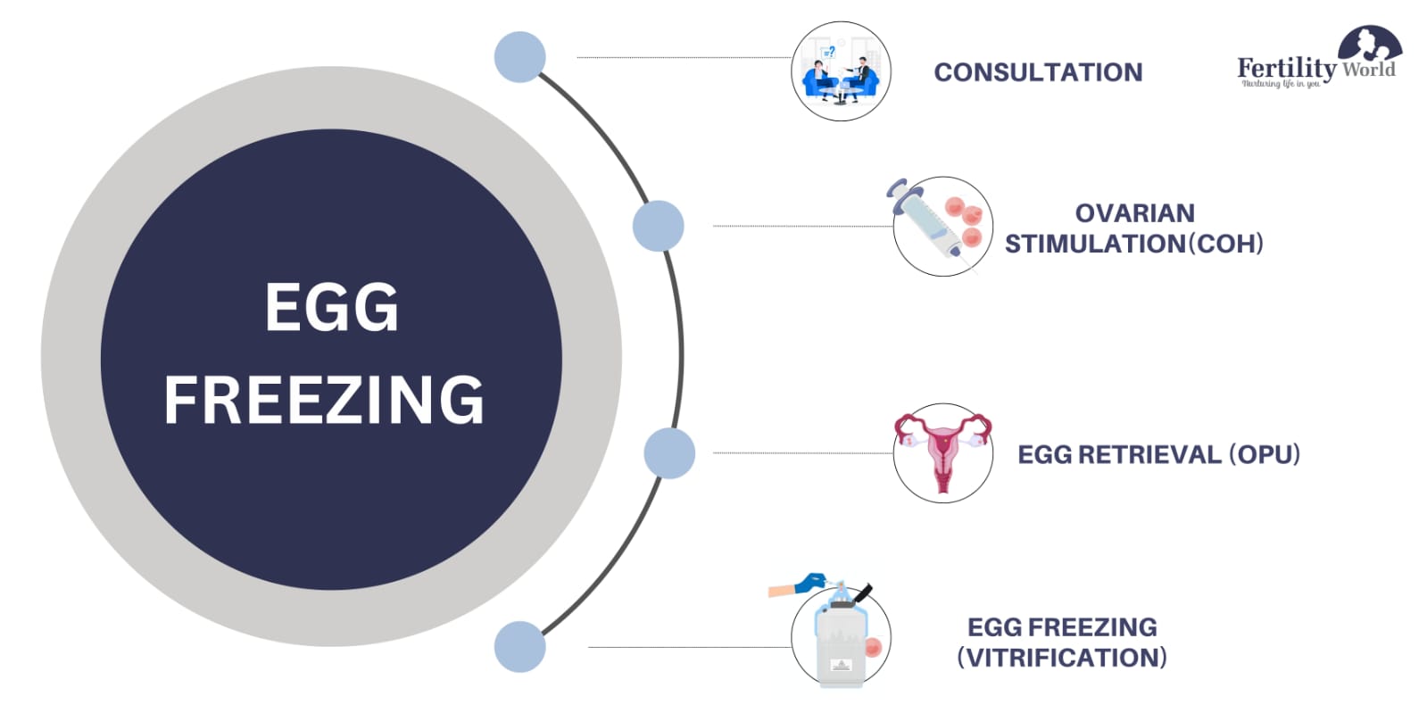 What is the procedure for egg freezing?