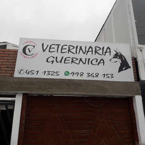 Opiniones de VETERINARIA GUERNICA en San Miguel - Veterinario