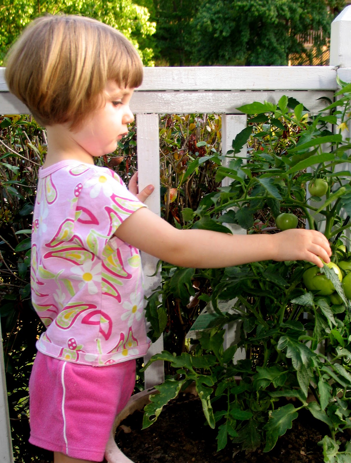 Indoor Gardening With Kids | The ActivityHero Blog