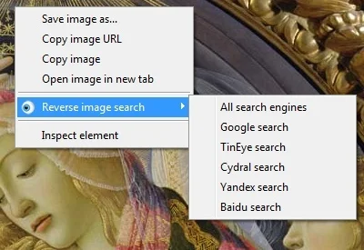 Screenshot of RevEye Reverse Image Search for Chrome
