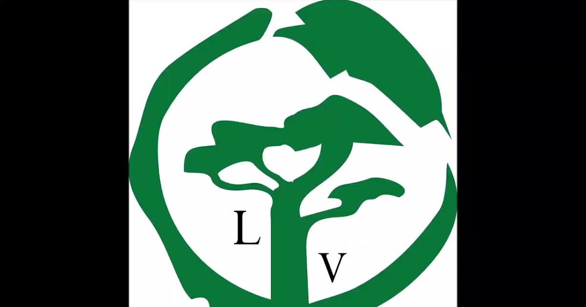 LV Landcare Service LLC.mp4