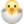 🐣