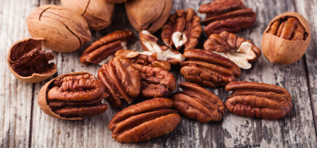 Can Dogs Eat Pecan Pie? Pet Care Advisors