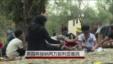 http://gdb.voanews.com/f0a6ed0b-d71b-46c6-8b3d-62cca8c4aeed_tv_w113_h64.jpg
