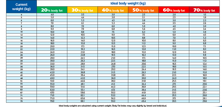 How to Calculate Your Ideal Body Weight