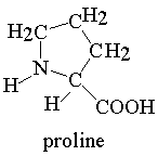 http://groups.molbiosci.northwestern.edu/holmgren/Glossary/Images/pics/amino_acids/Proline.gif