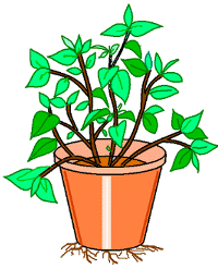 http://www.freewebs.com/khbdua/akarkeluar.gif