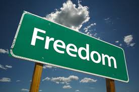 Image result for freedom