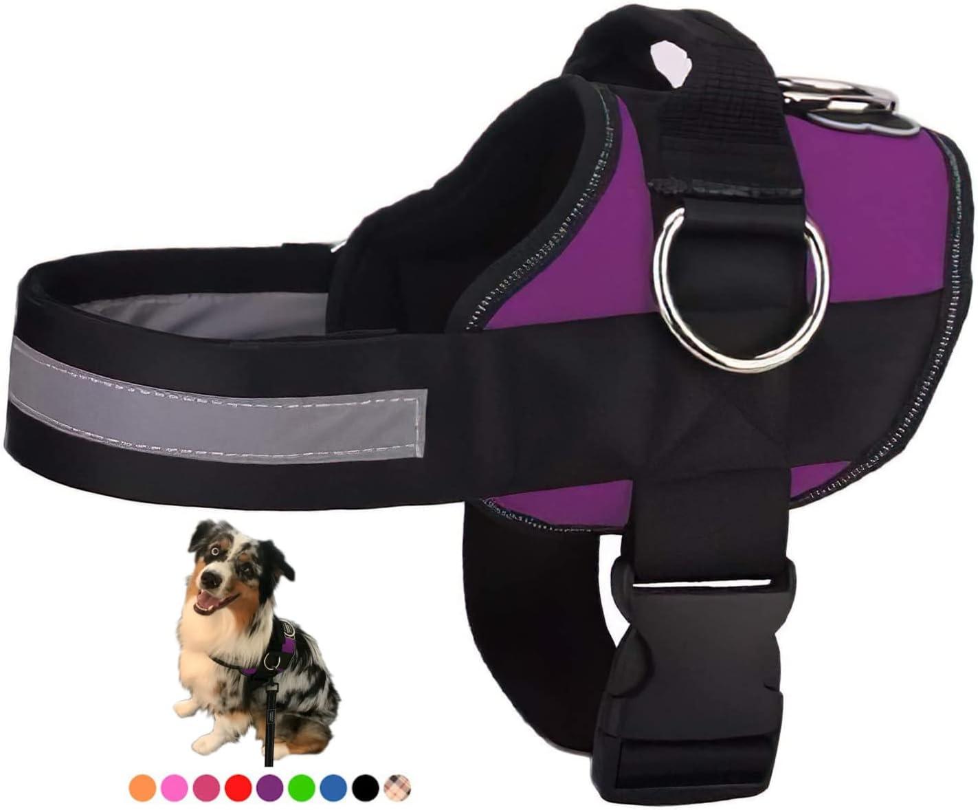 Joyride Harness for Small Dogs