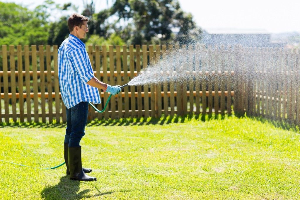 Man Watering Grass