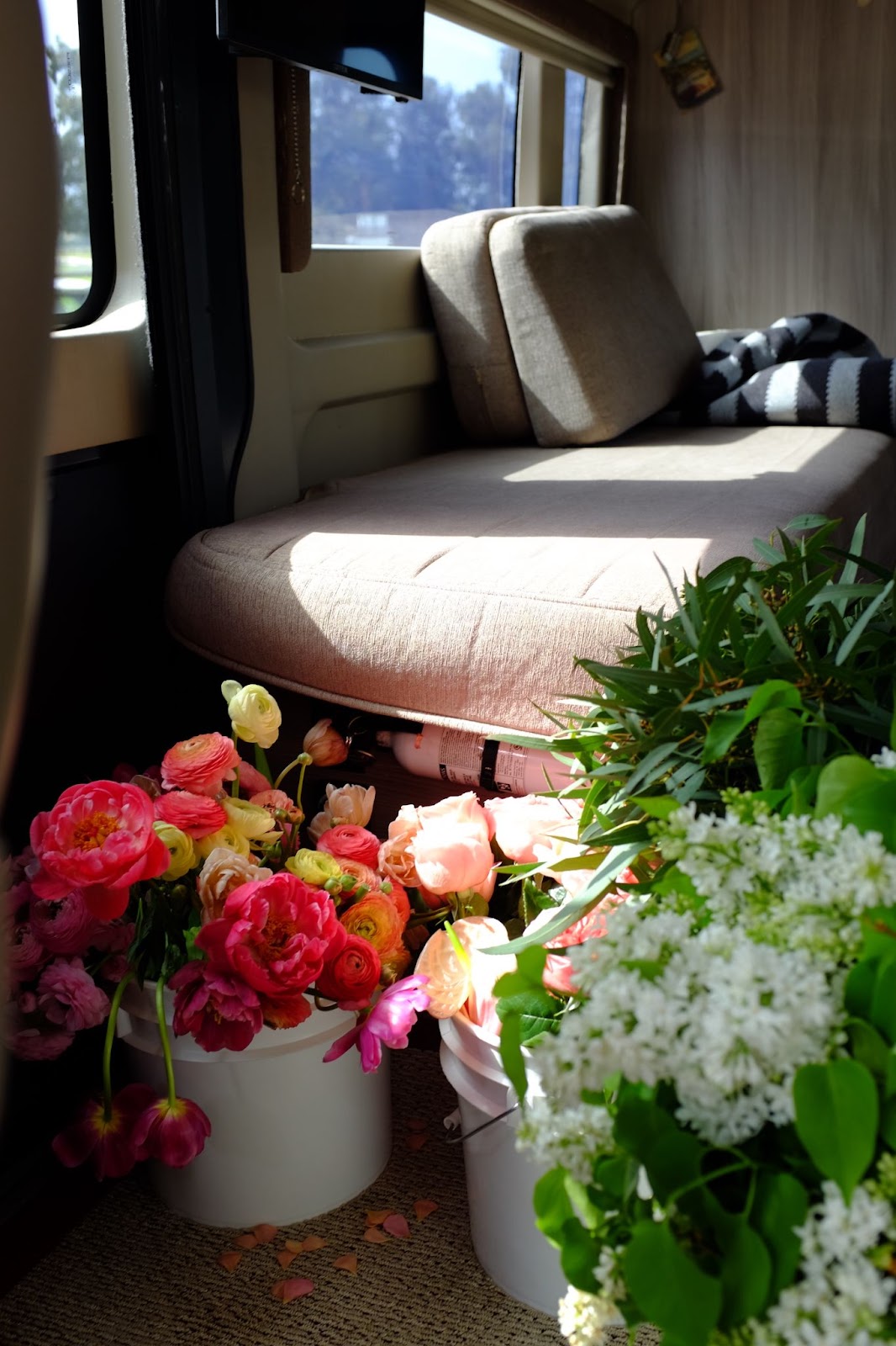 Flowers inside campervan