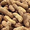 https://cdn1.healthaliciousness.com/articles/images/peanut.jpg