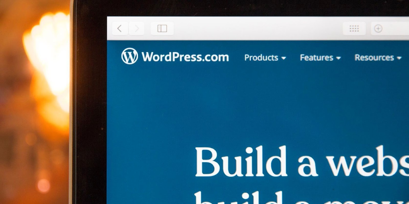 wordpress website