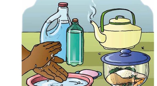 Phòng tránh nhiễm sán lá gan lớn