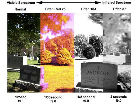 Infrared Techniques with Digital Cameras